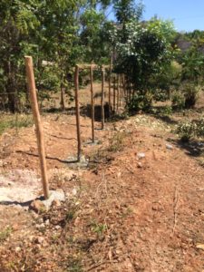 A wood and wire fence has been constructed around the land